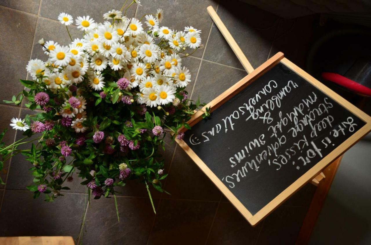 Hotel Pilava Roja Zewnętrze zdjęcie